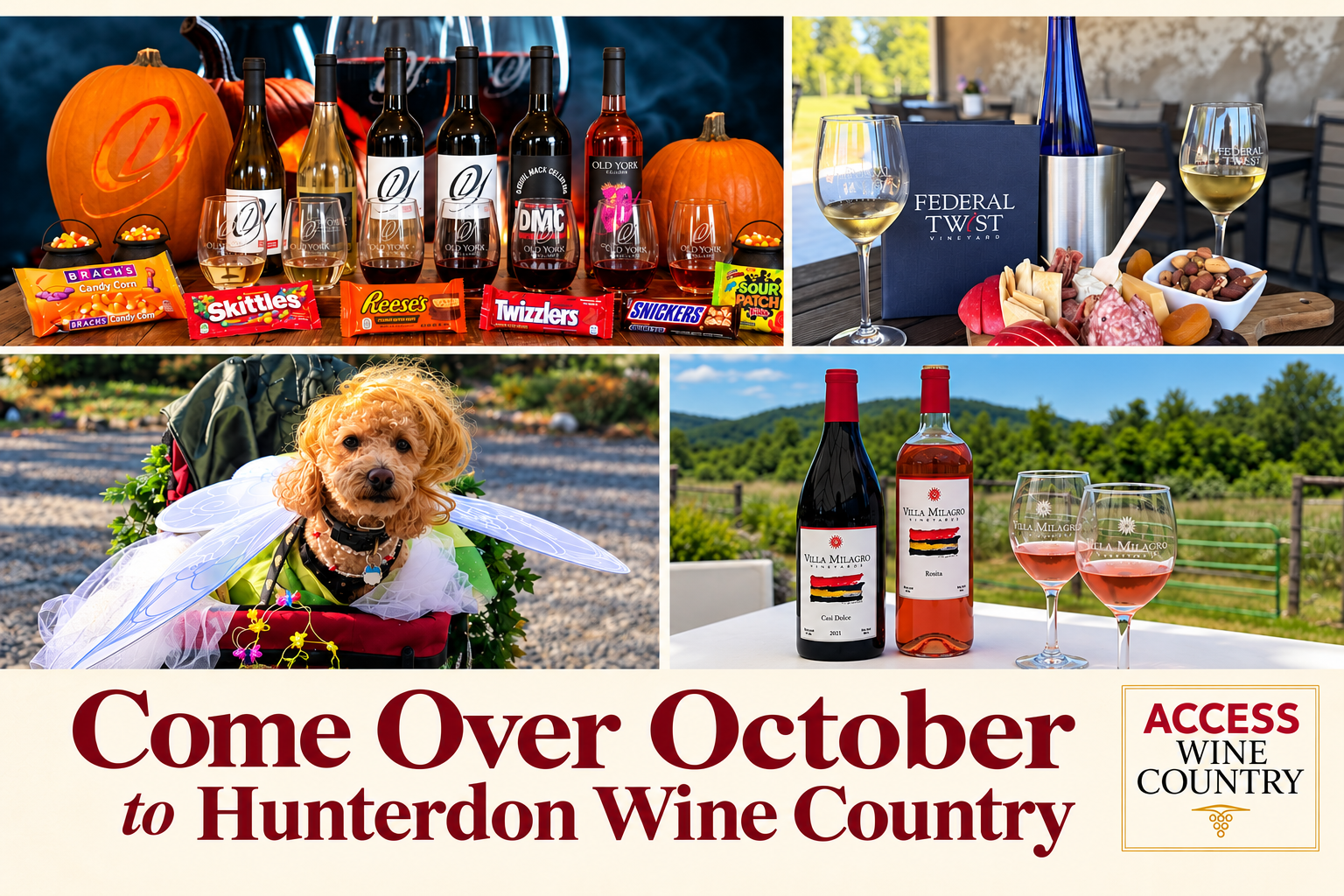 Come Over October to Hunterdon Wine Country
